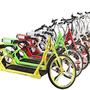 Electric Walking Bike